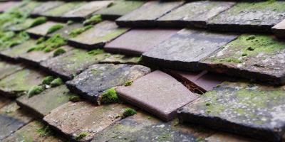 Denchworth roof repair costs